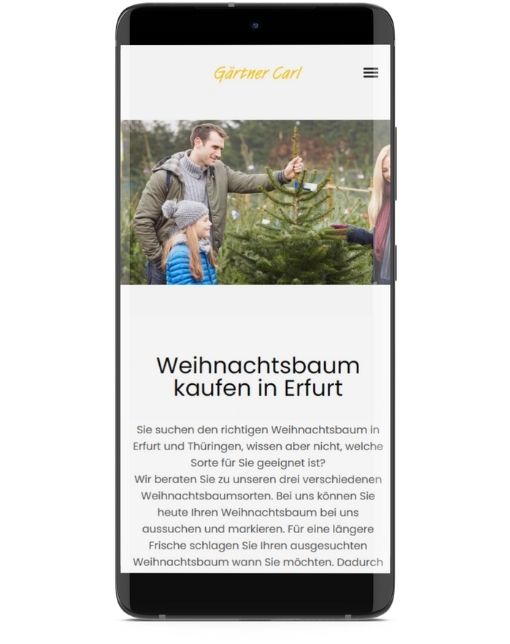 Webdesign und SEO für Gärtnerei. Weihnachtsbaum Erfurt